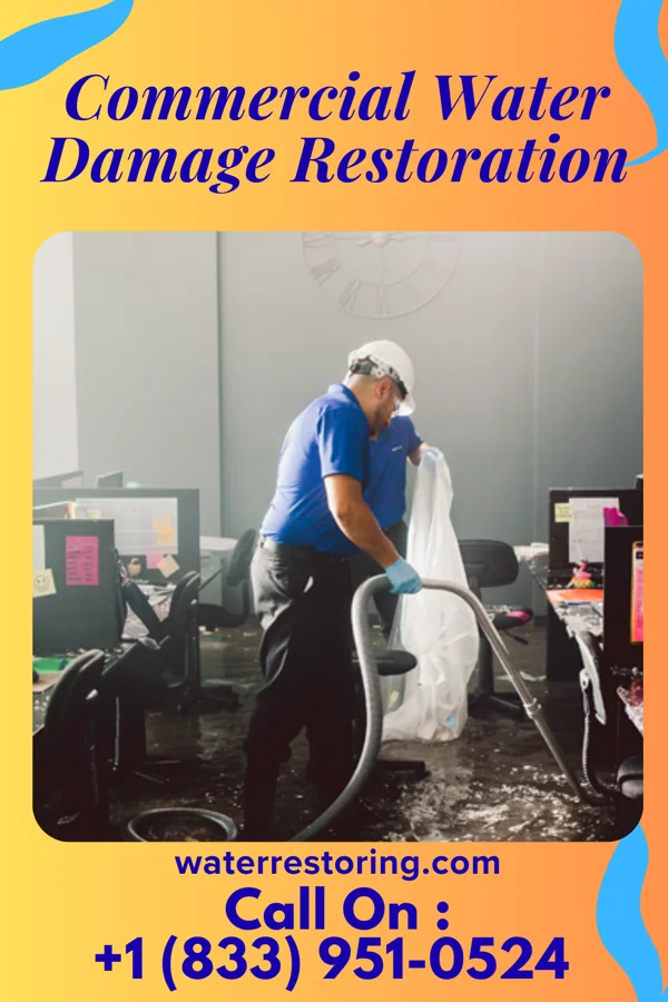 Commercial Water Damage Restoration in Rose Creek, MN
