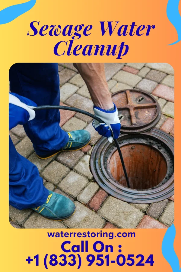 Sewage Water Cleanup in Rose Creek, MN